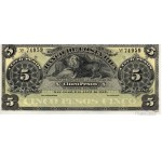 5 Pesos (Fórmula BCR) 1/4/1899