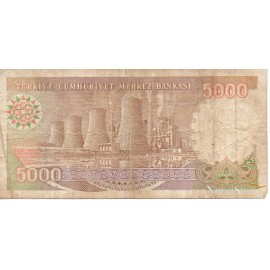 5000 Lirasi