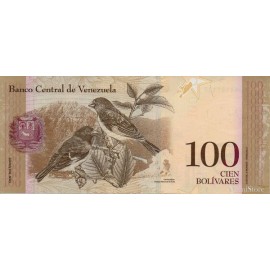 100 Bolivares 2015