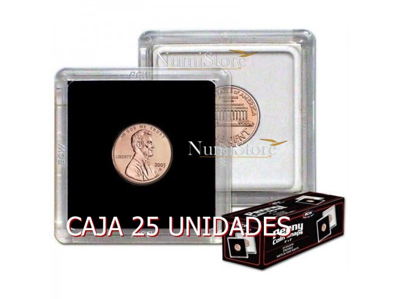 Caja 25 Cuadro (Snap) de 19 mm (Penny)